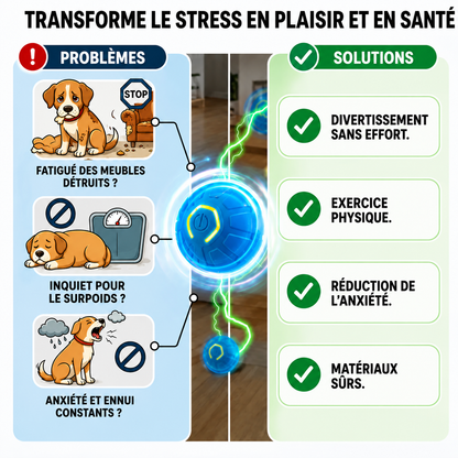 Balle Interactive Automatique pour Chien 🐶
