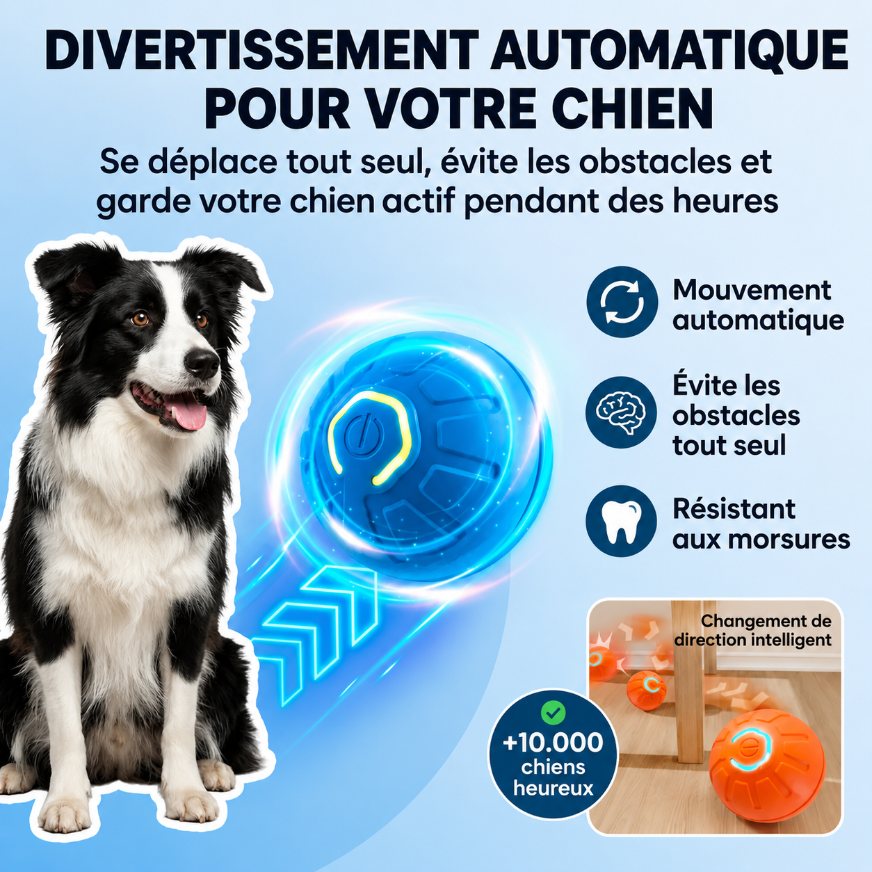 Balle Interactive Automatique pour Chien 🐶